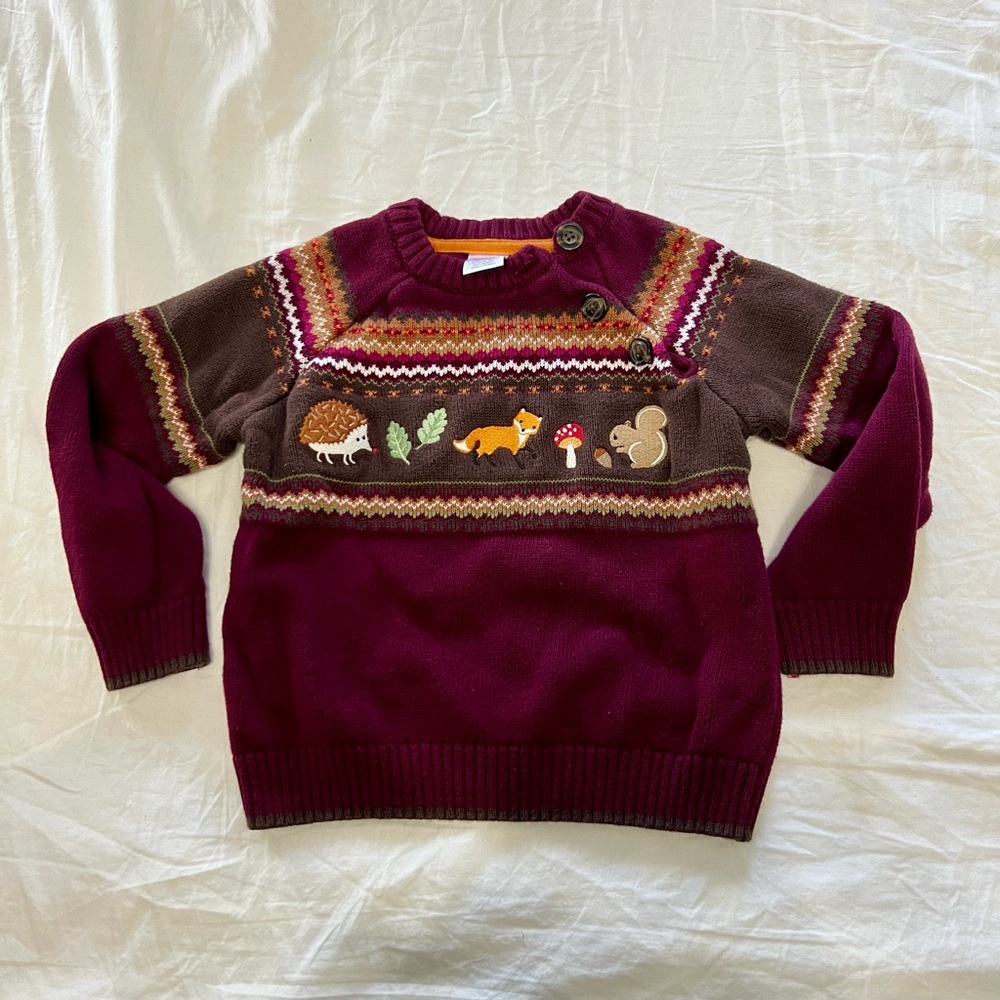 🍁Gymboree Fall Autumn Knit Sweater Boy Girl Unisex🍁